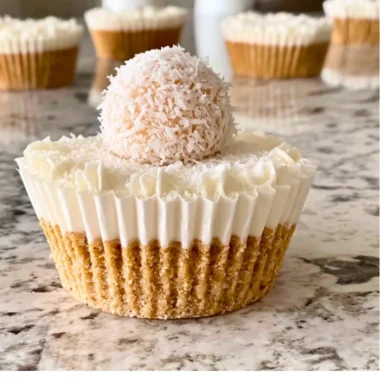 No-Bake Coconut Cheesecake with coconut flakes on top