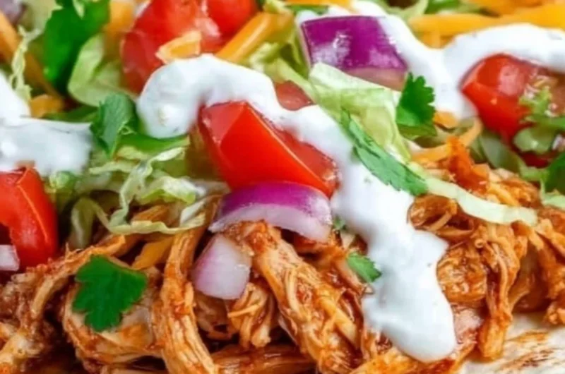 Serve of Mexican Pulled Chicken with spices and toppings