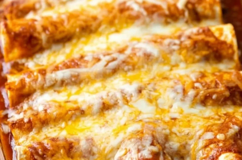 Plate of delicious restaurant-style red cheese enchiladas topped with sauce