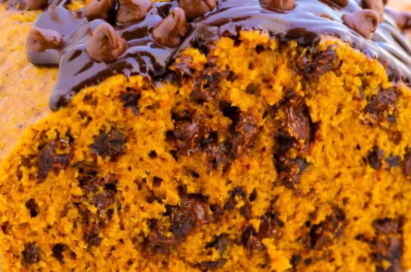 Moist and delicious chocolate chip pumpkin bread slice on a plate