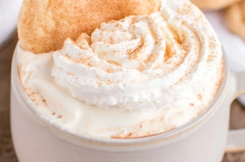 Delicious Snickerdoodle Hot Chocolate topped with whipped cream and cinnamon