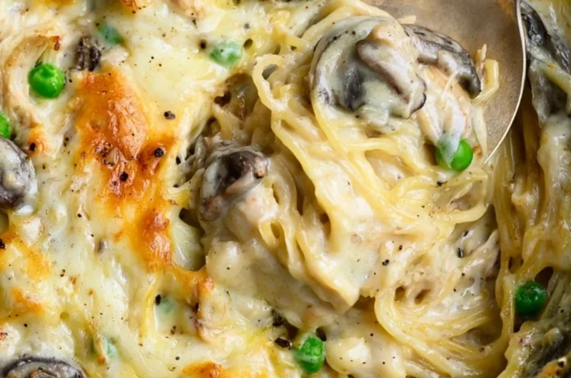 Creamy chicken tetrazzini casserole with pasta and vegetables